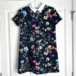Zara Trafaluc Dress Womens Small Aline floral Short Sleeve Peter Pan Collar